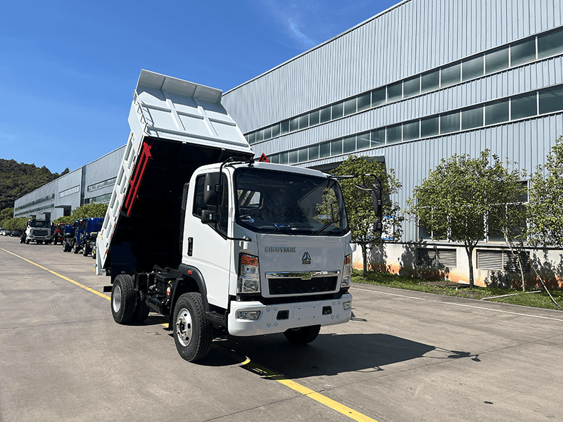 Howo 4x2 Light Dump Truck-10