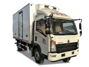 Sinotruk Howo 4x2 الثلاجة Truck-3TH