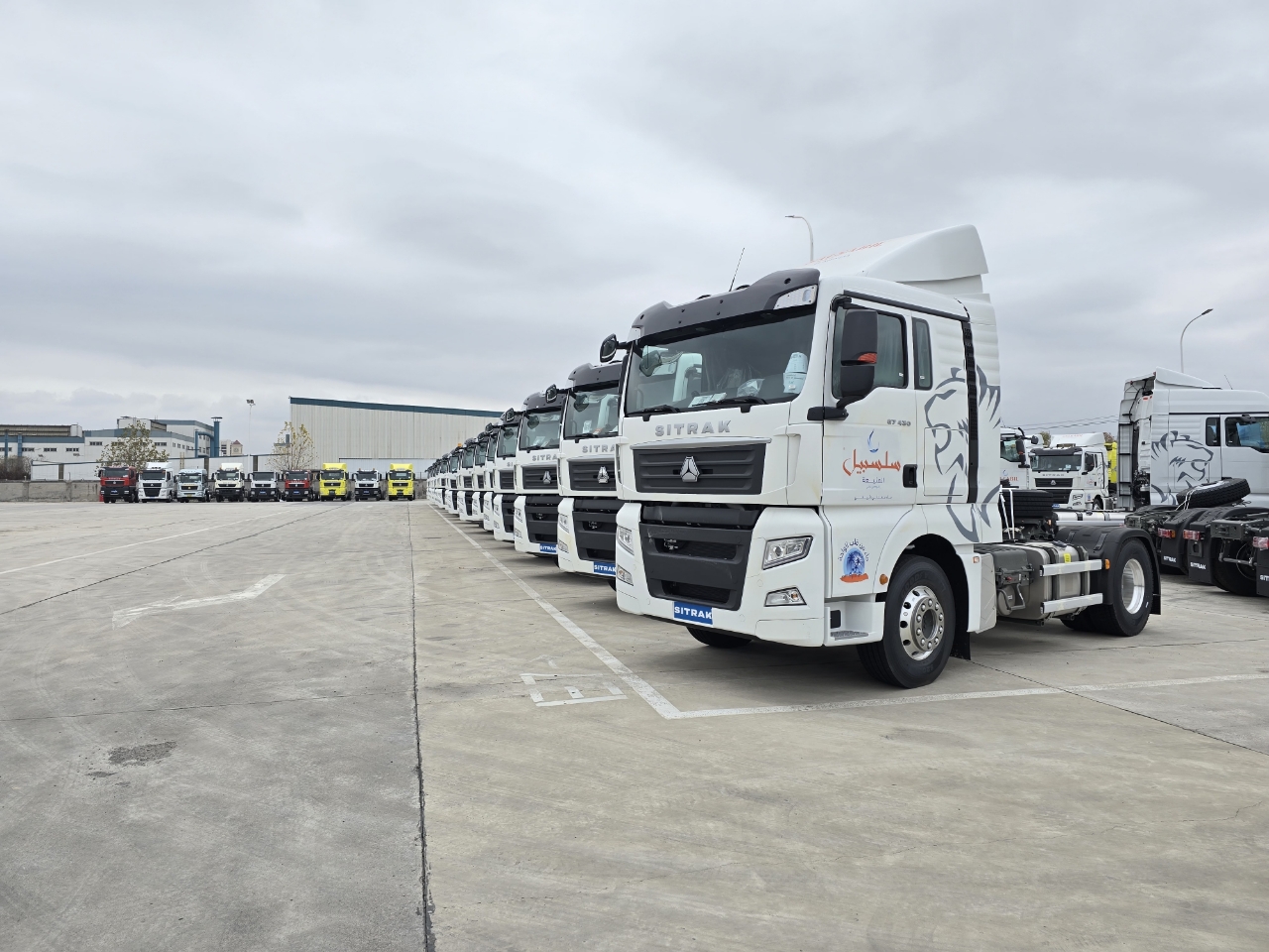 الصورة_20250227040245